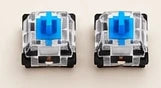 2 replacement switches